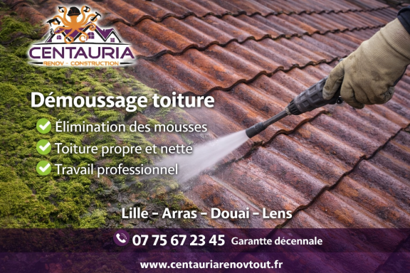 démoussage toiture 
